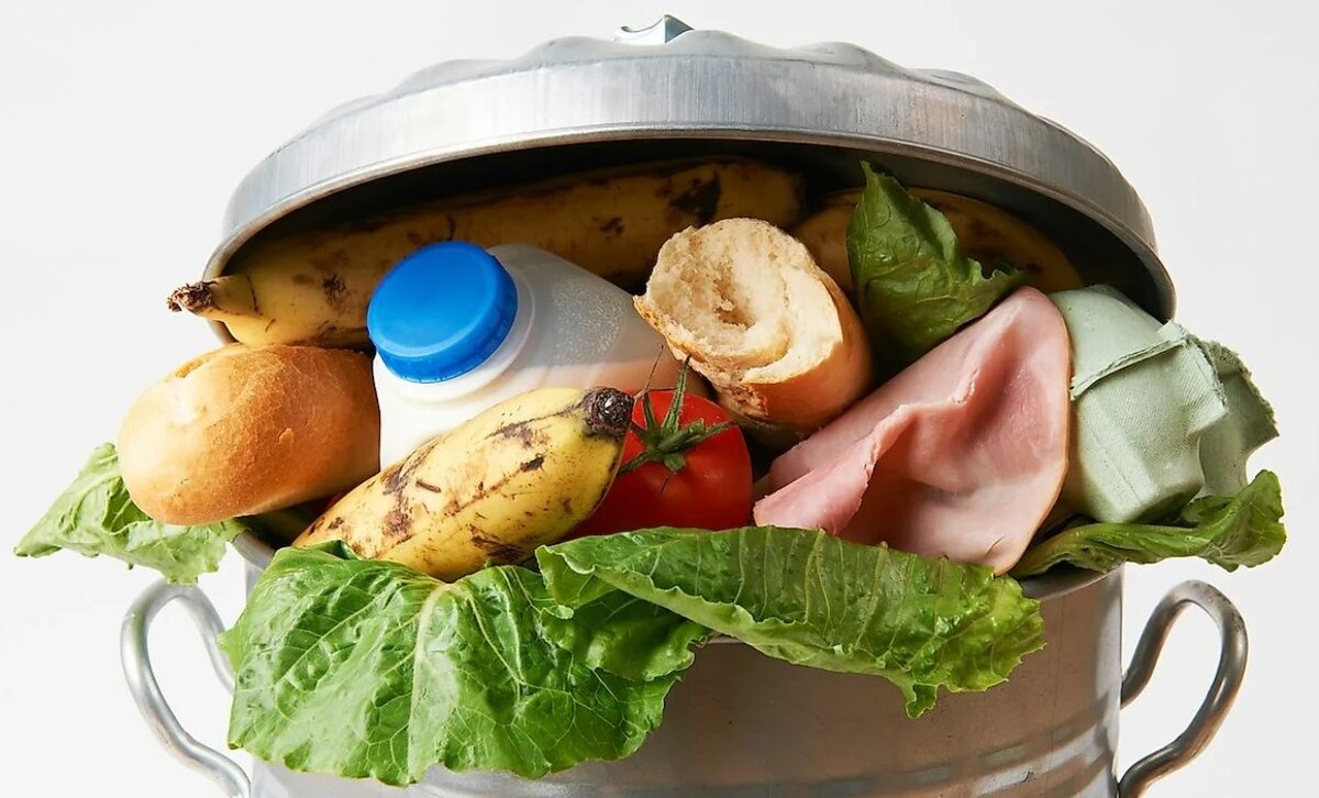 фото: SpeedKingz/ Shutterstock.com