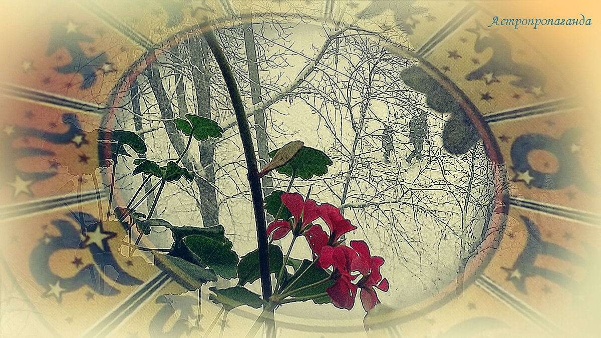 Коллаж Нины Стрелковой. 