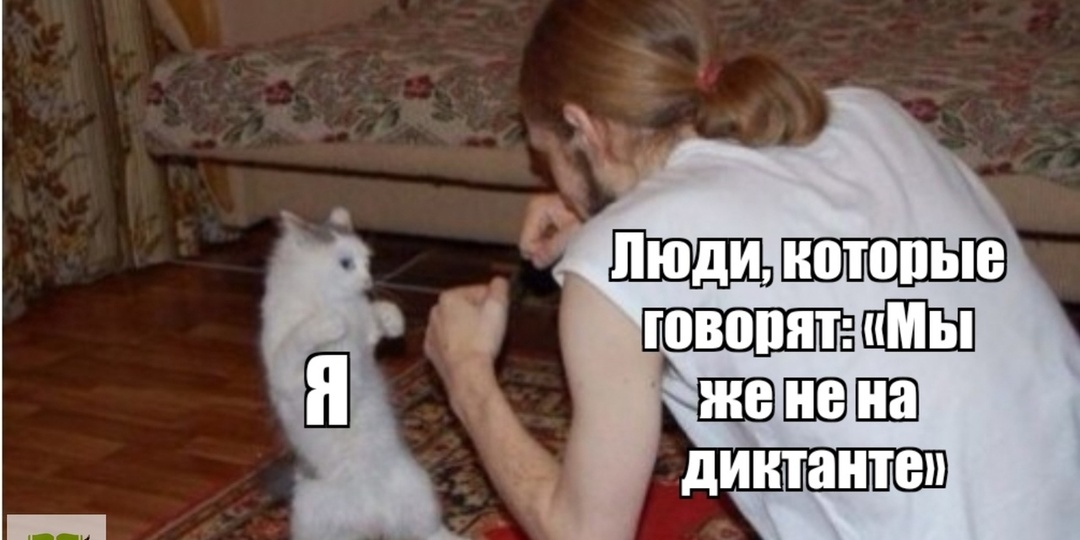 «Зачем писать грамотно, мы же не на диктанте?». Всего одна колкая фраза поставит умника на место!
