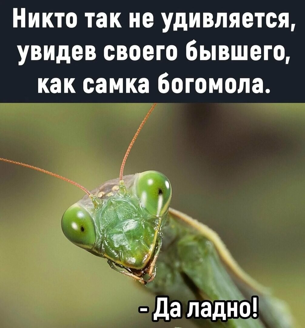 Картинка из сети интернет 