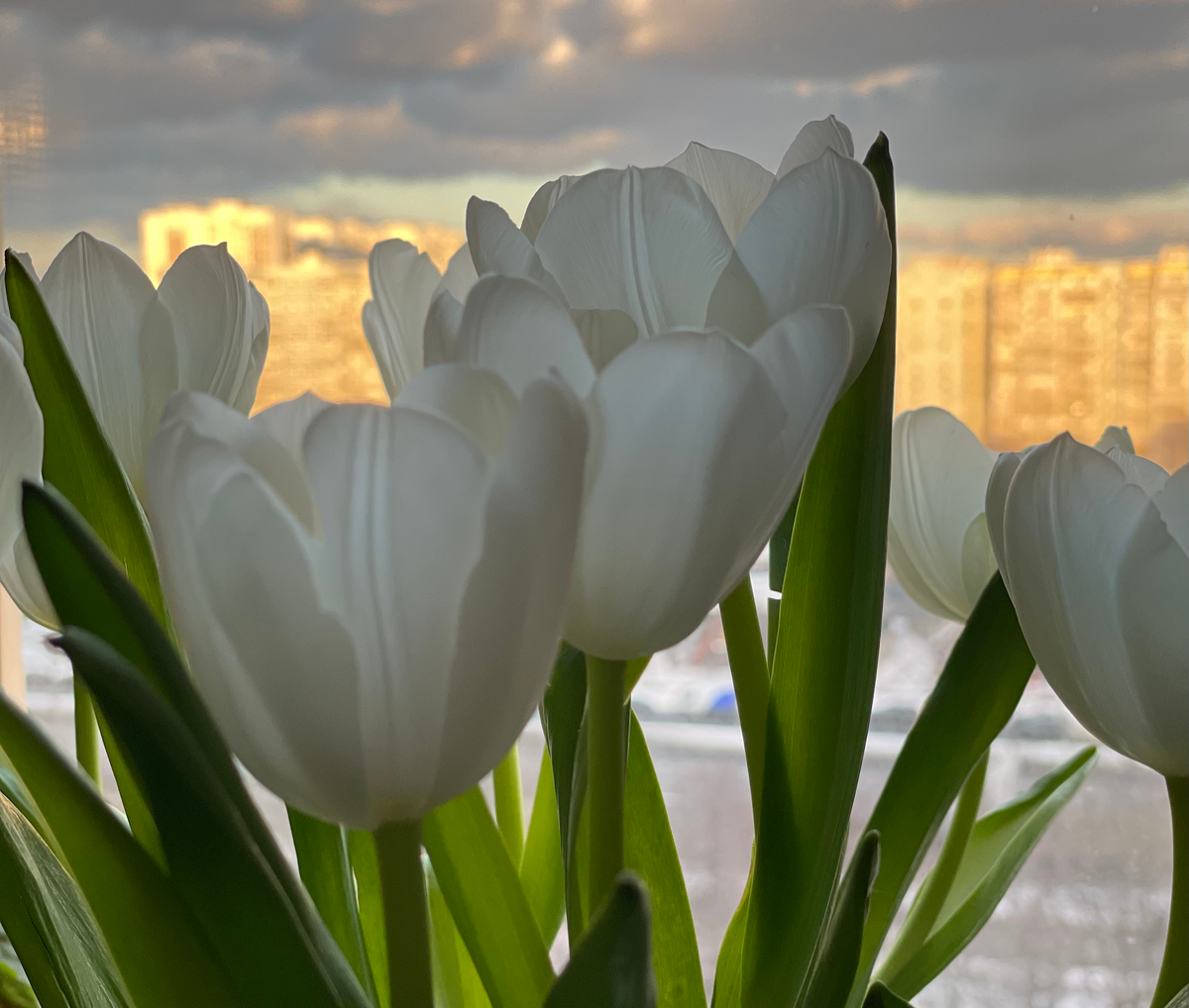 Заполненная анкета - первый шаг к счастливым отношениям.