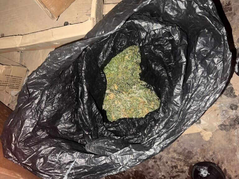    У садовода-наркомана в Бугуруслане изъяли почти 700 грамм марихуаны Белов Михаил Александрович