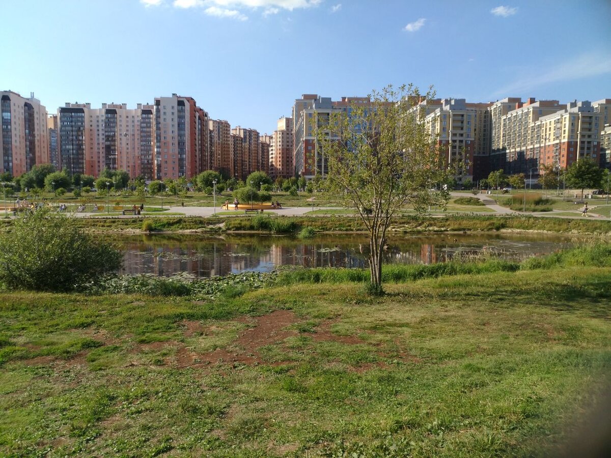 Панорама Кудрово