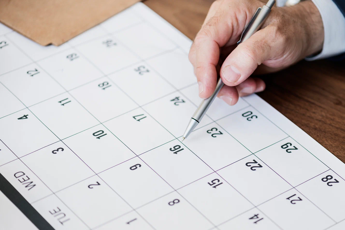 Фото: rawpixel.com (Freepik) 