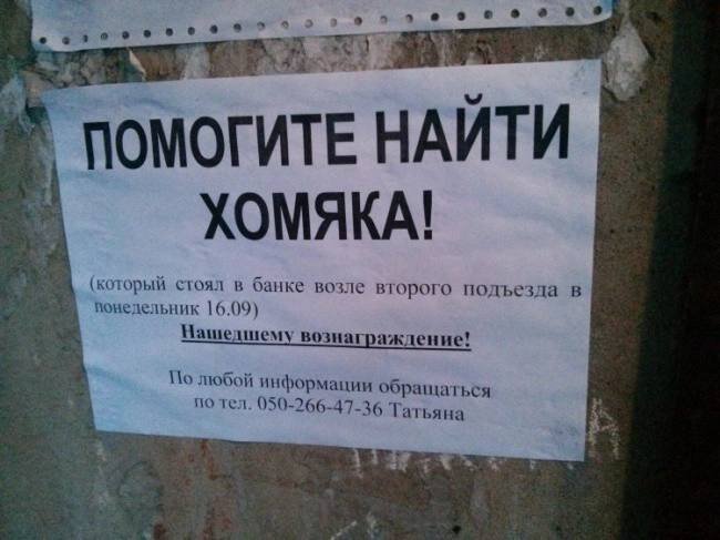 Источник Яндекс картинки. 