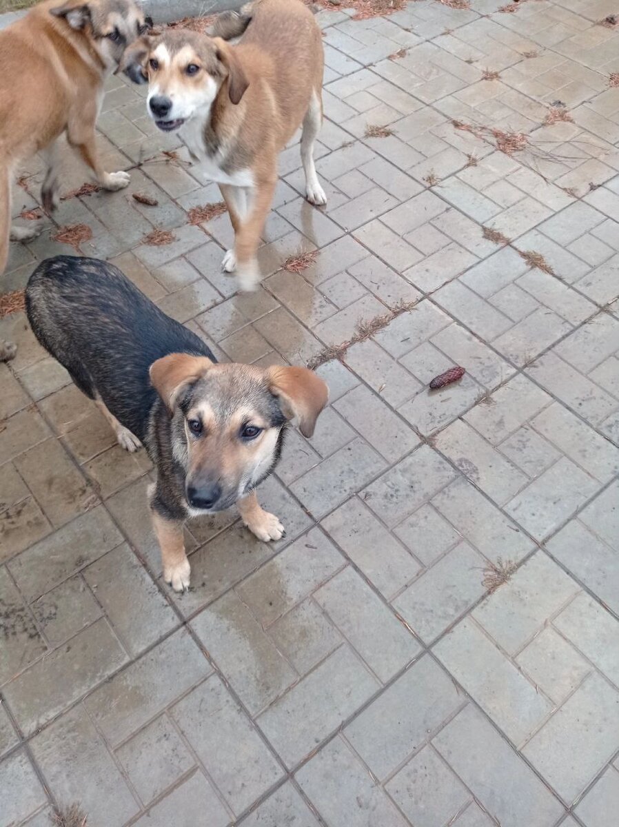 Их всех хотят отравить 