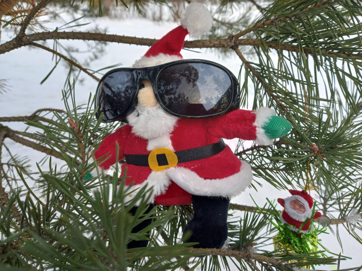 Придуманное за пять минут фото, сделанное по пути в аптеку, не судите строго...