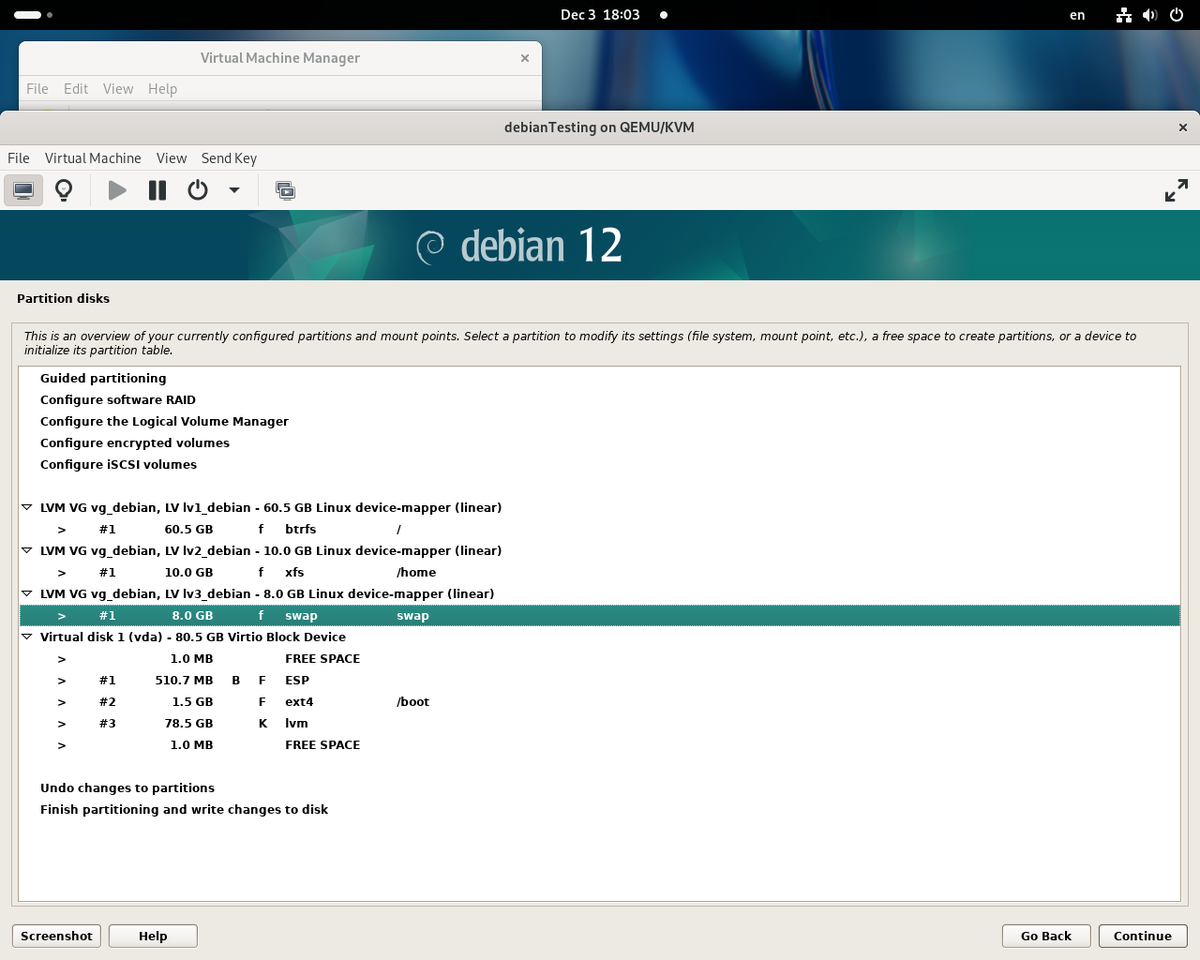 Debian Network Installer. Disk layout setup