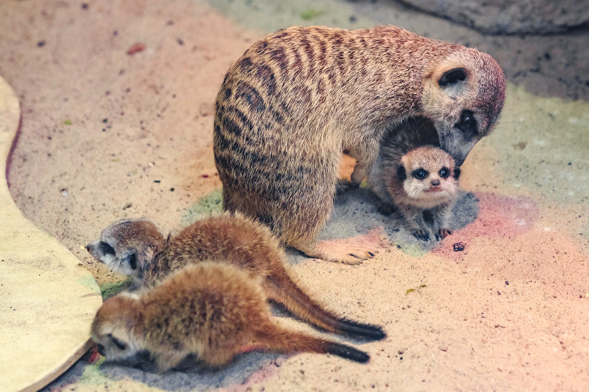 Заблудшая - 25 часть | О жизни и любви | Дзен