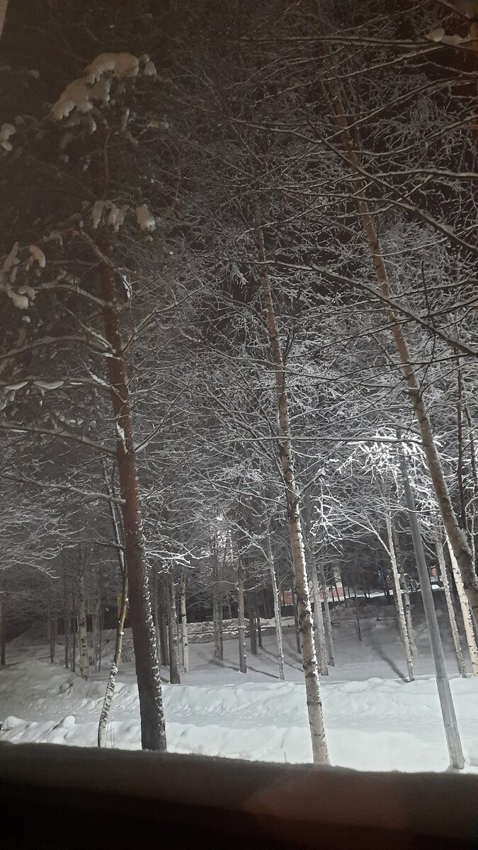 Фото автора автора 