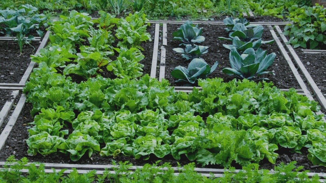 Затраты на огород не маленькие, вы должны быть к этому готовы