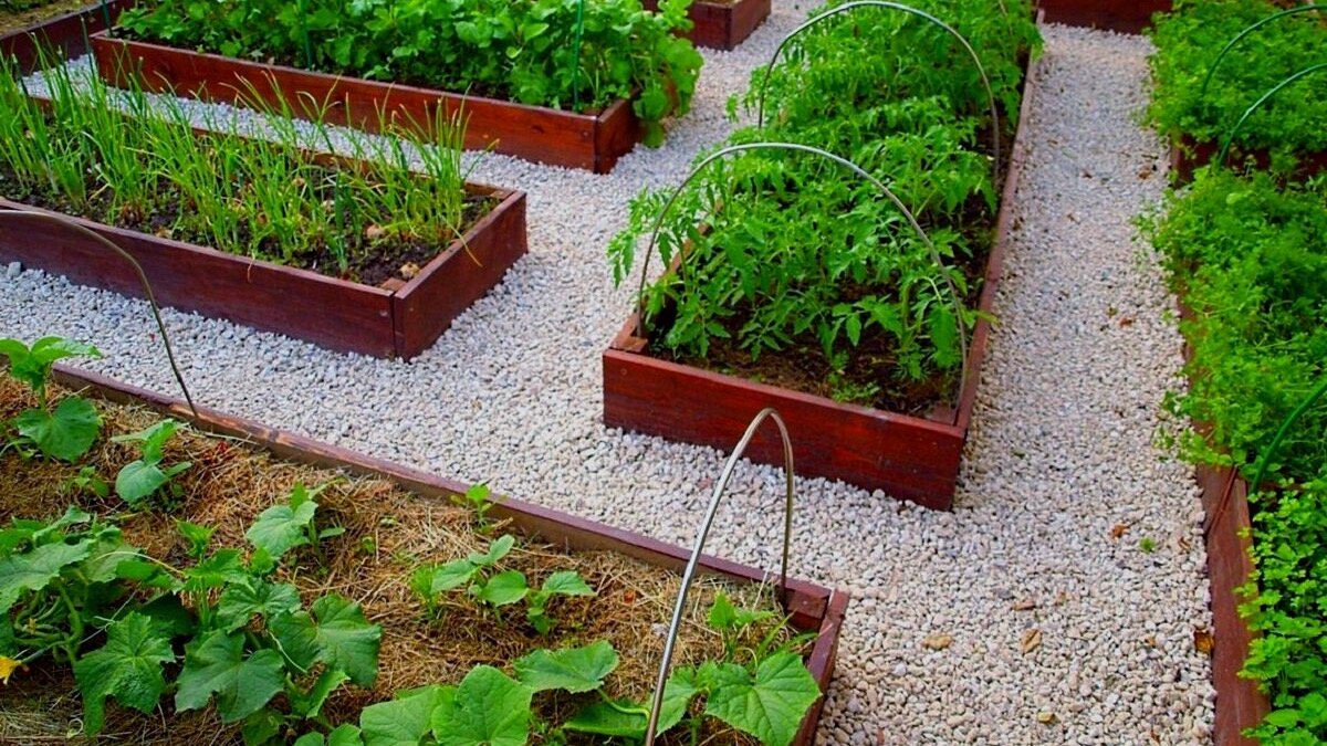 Нужен ли на участке огород: объясняю плюсы и минусы (решать вам)