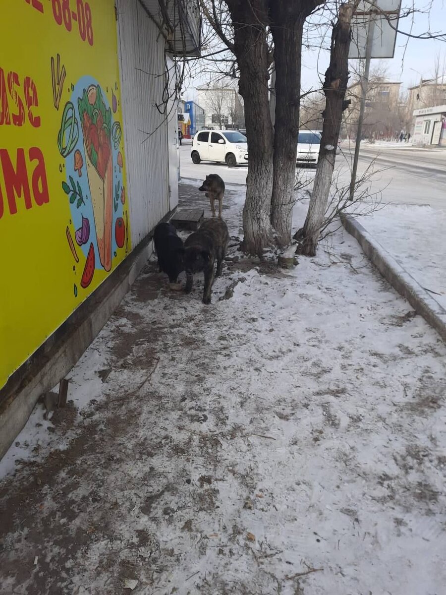    Фото: Пресс-служба администрации Читы