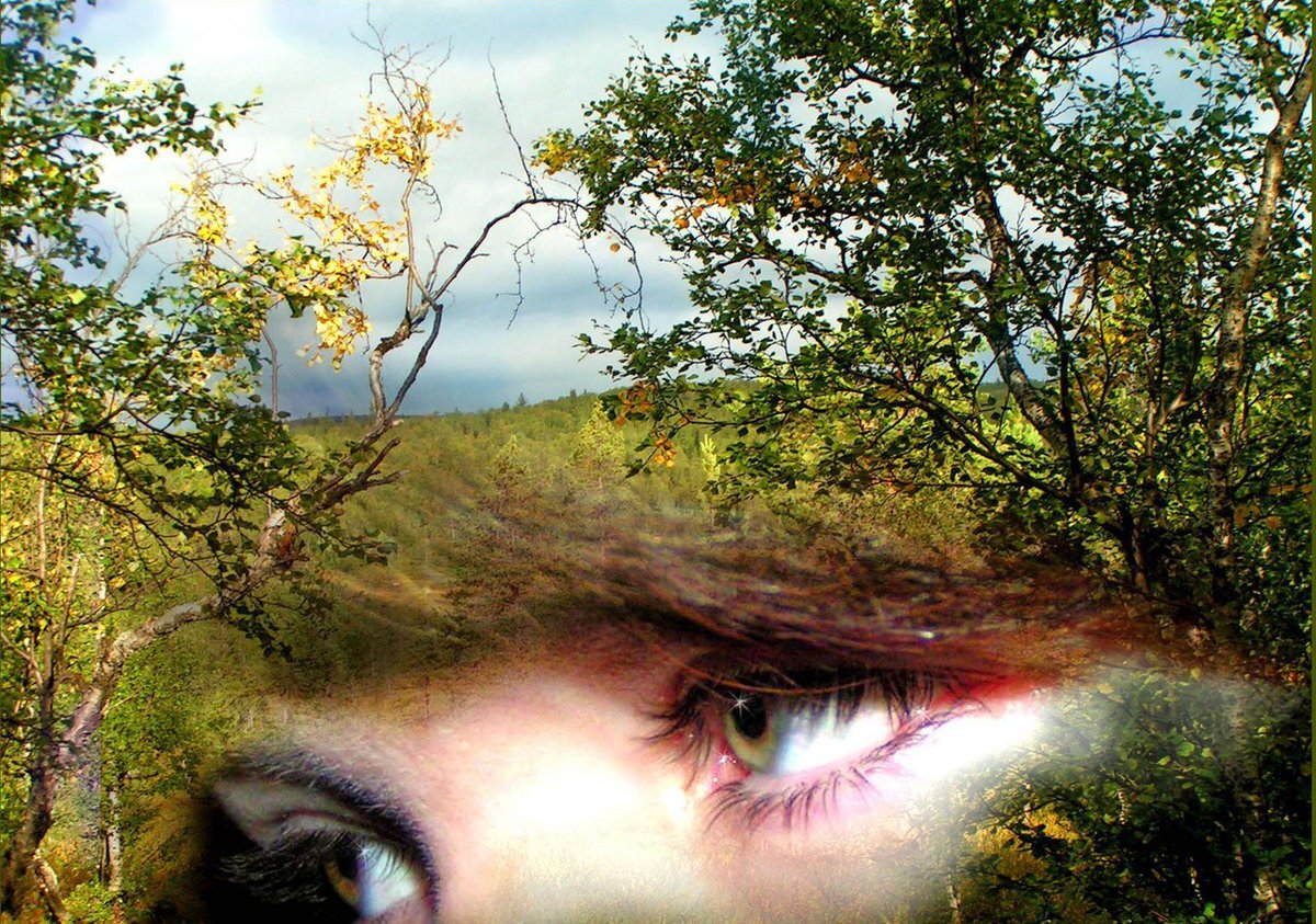 Глаза глядящие в душу. Глаза природы. Глаза на фоне природы. Родные глаза. Женские глаза на фоне природы.