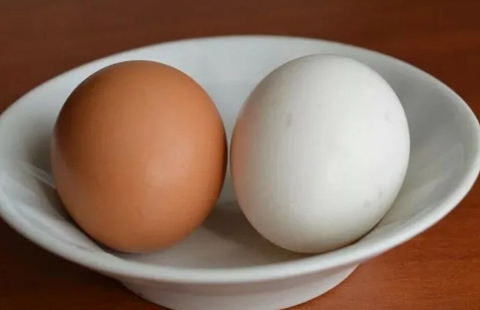 Куриное яйцо тест. Яйцо. Яйцо куриное. 2 Яйца. Тарелка для яиц.