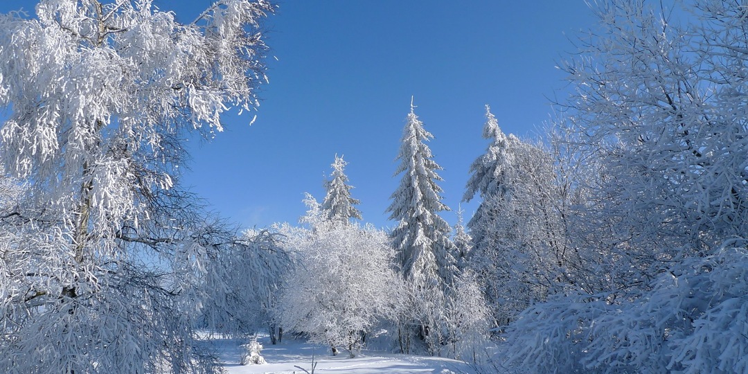 Сапожки для мамы
