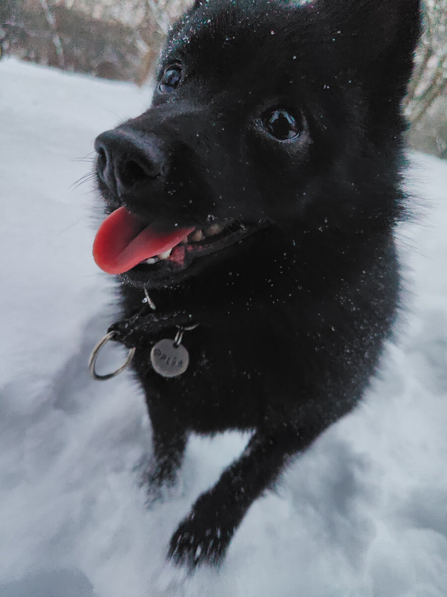 Фрейя собственной персоной