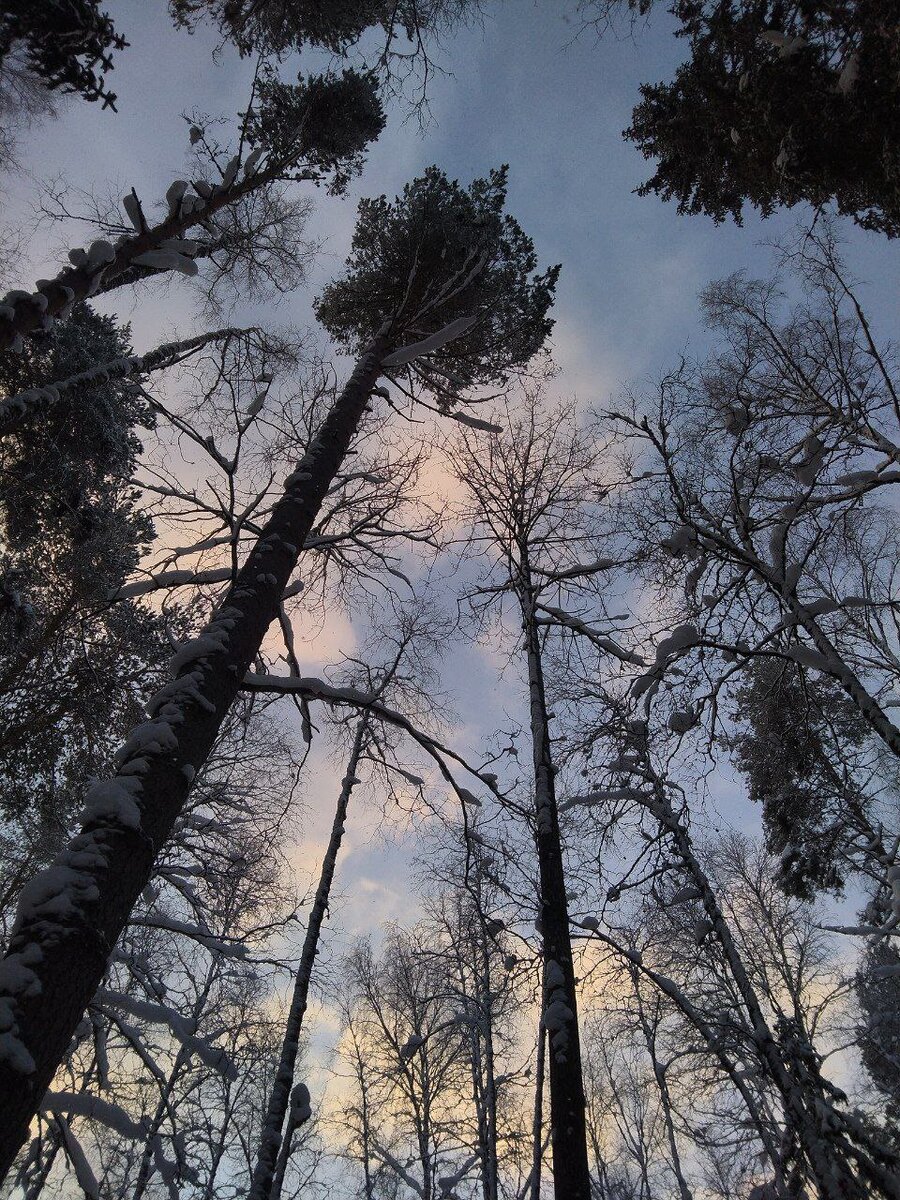 Наверное, такая должна быть заставка)))