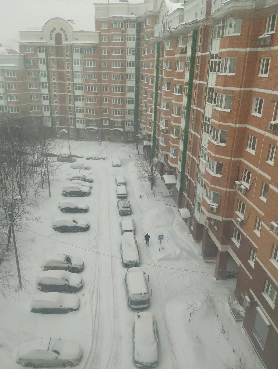 Фото: соцсети