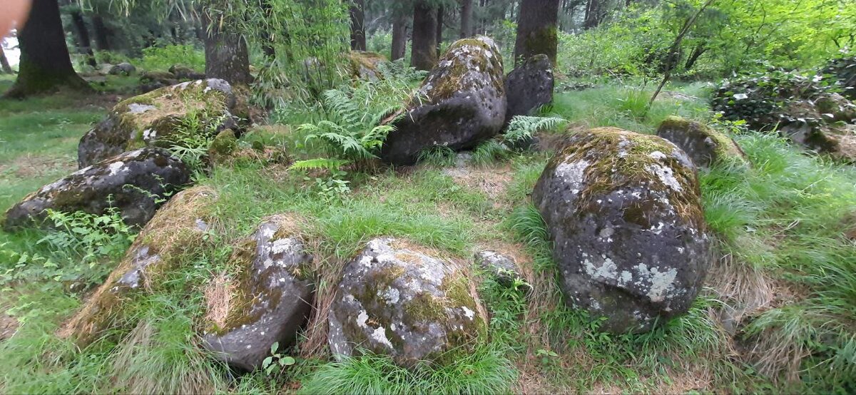 Начало трека