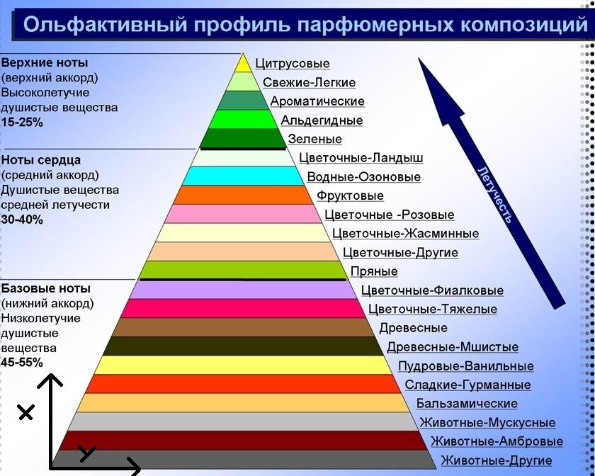 Какие ноты дают дорогой аромат для интерьера Парфюмерный глоссарий 2. Категории ароматов. Секреты моего Мира Ароматов Дзен