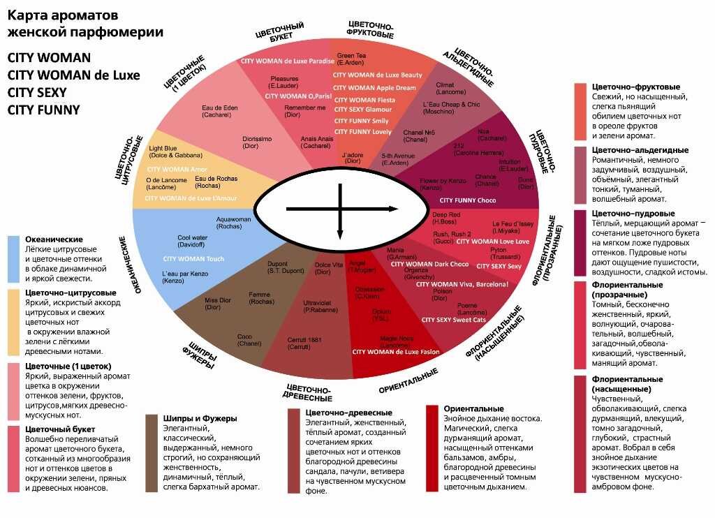 Запахи какого размеры. Майкл Эдвардс классификация ароматов. Классификация женских ароматов. Классификация ароматов в парфюмерии. Карта ароматов.