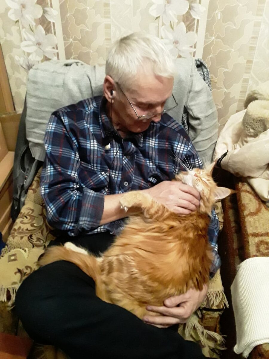 Вот она, балдёжница!😻😼😻