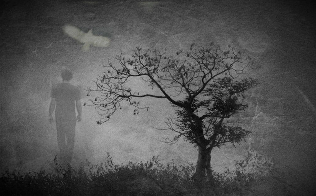 фото из интернета