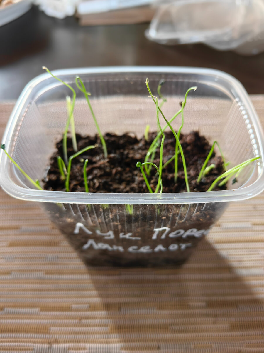 фото от 14 марта 2023г