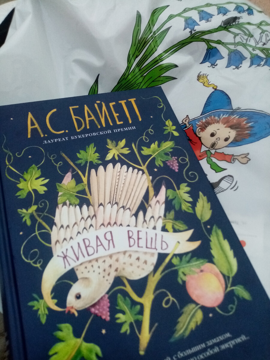 Незнайка был на пакете, в котором мне книгу продали. Как раз по колориту походит))