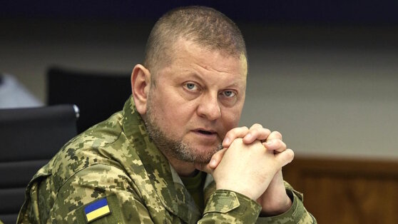    В офисе Зеленского признали наличие "жестких дискуссий" с Залужным Роман Захаров