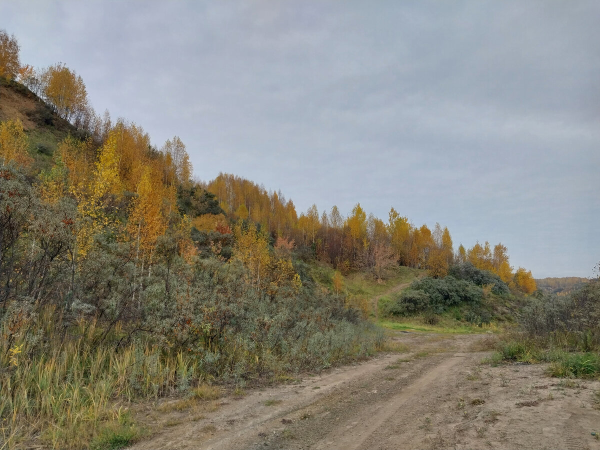 Холмик ждёт и впереди. Либо лезть на него, либо пытаться по берегу