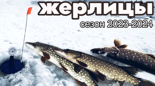 Первый лед 2023-2024. Самара - жерлицы.