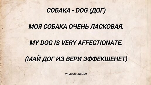 Для продолжения работы вам необходимо ввести капчу