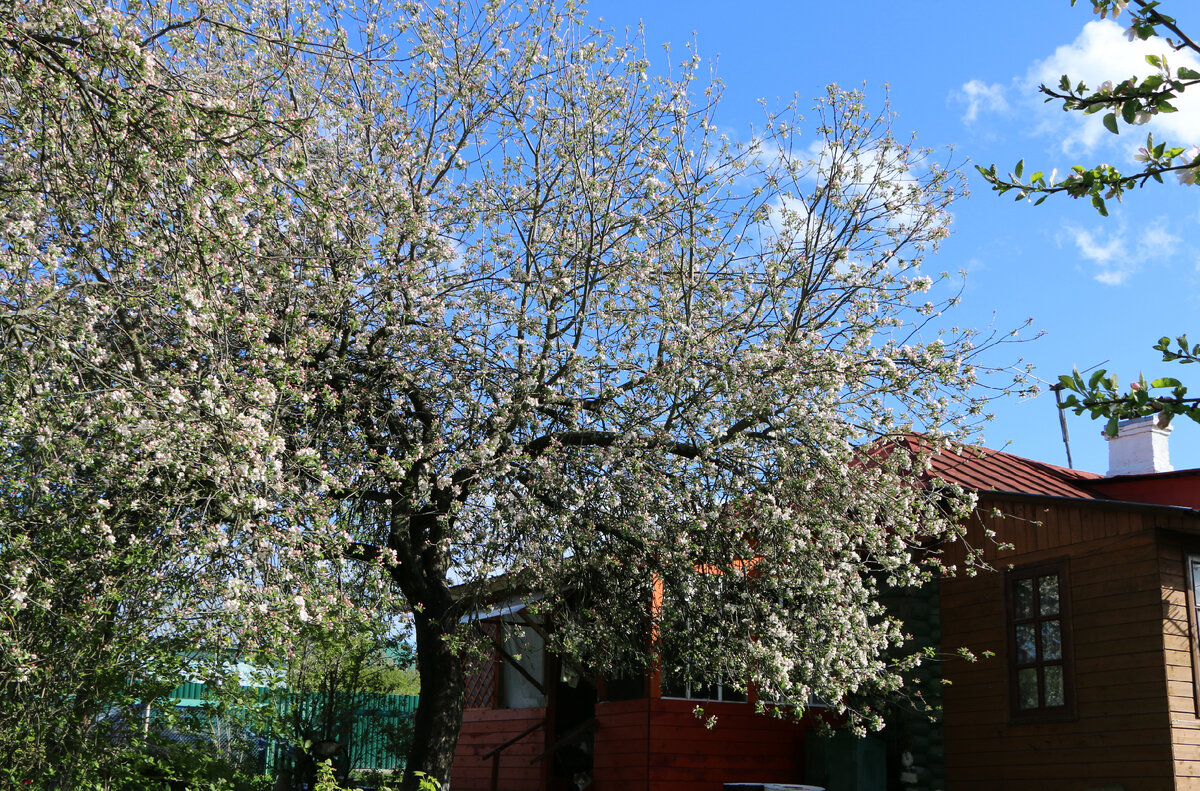 2. В галерее 2 фото, листайте