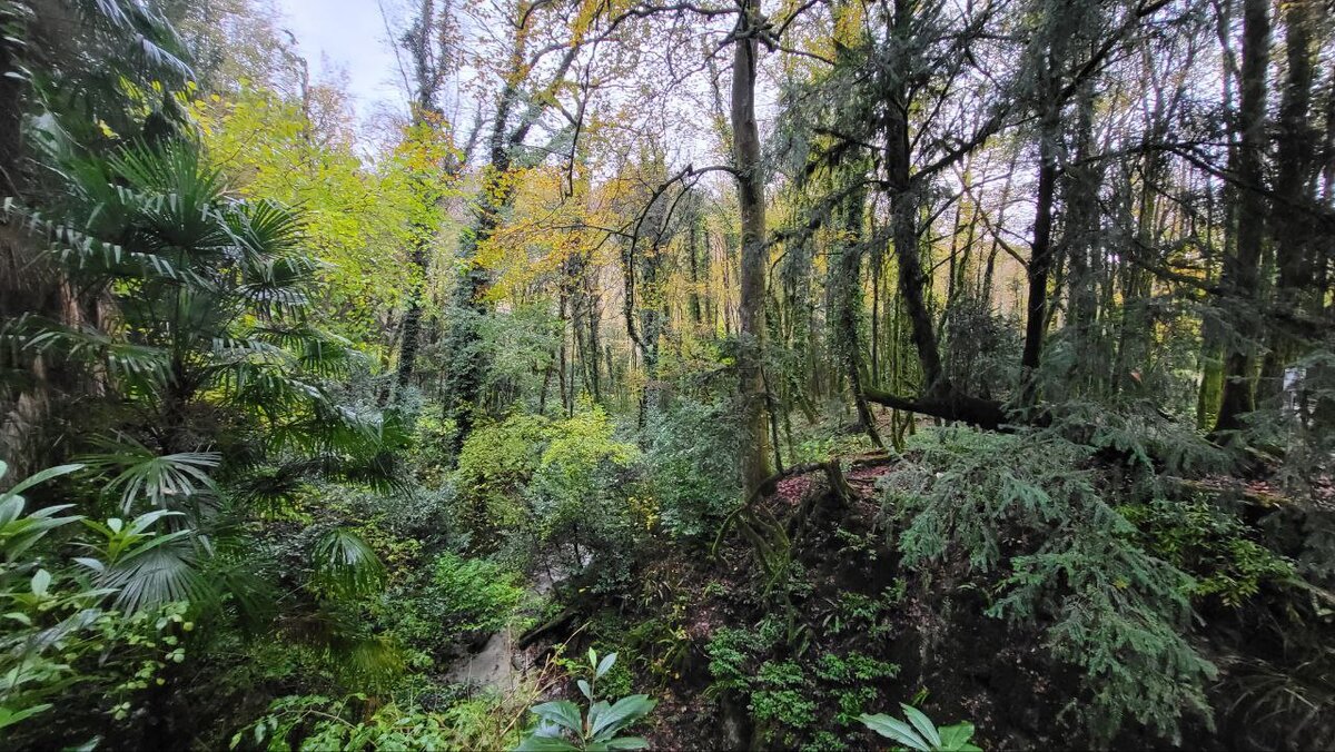 Офигенное место