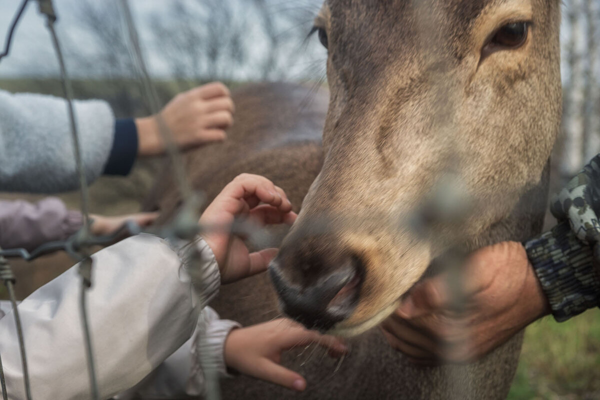 Сегодня в гости к Алёнке приехала детвора
