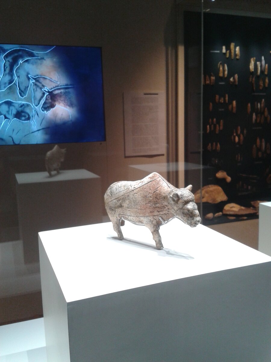 Зарайский бизон. Фото автора.