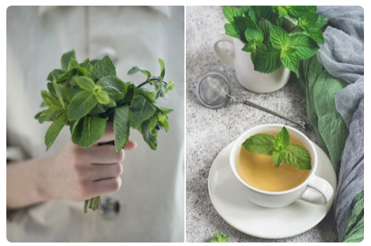 Источник: Pinterest