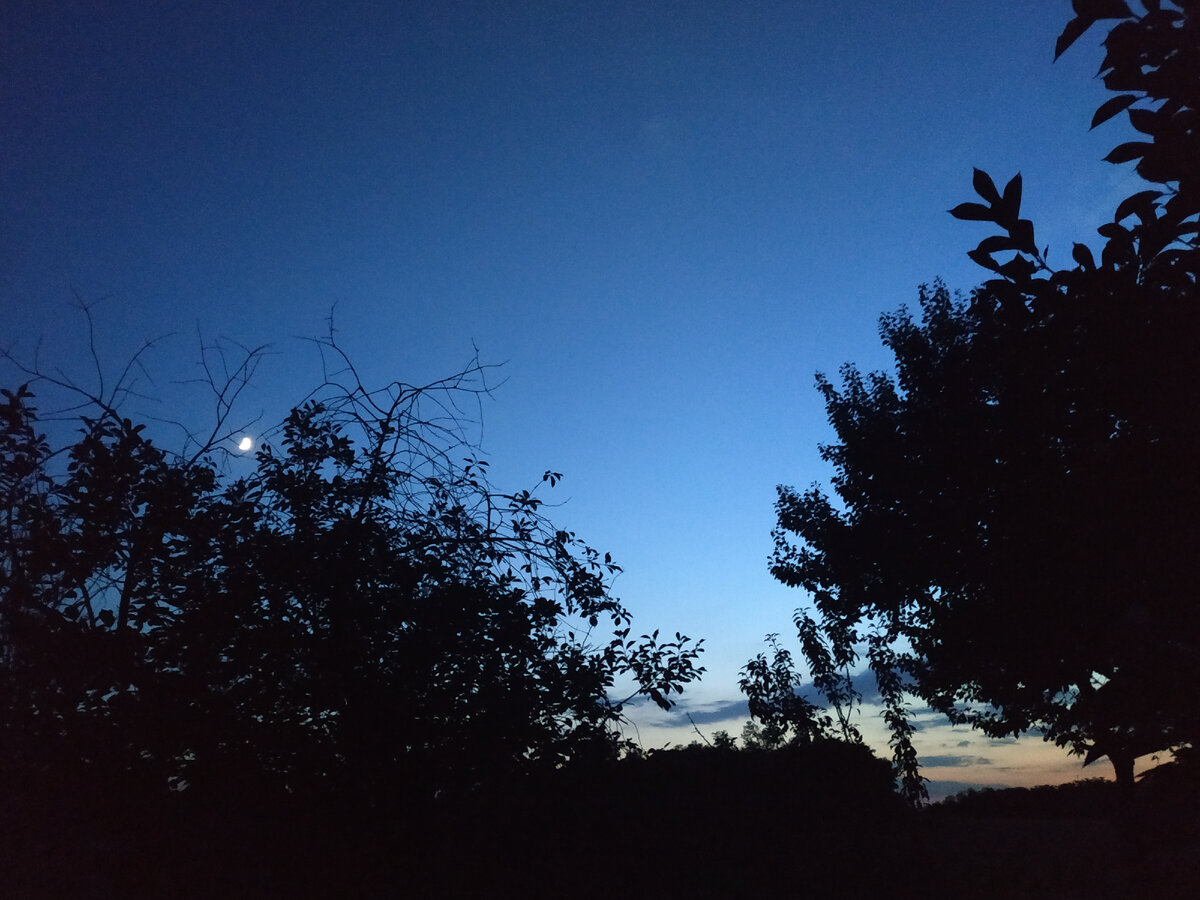 Синие сумерки. Автор фото - Ирина Полянцева.