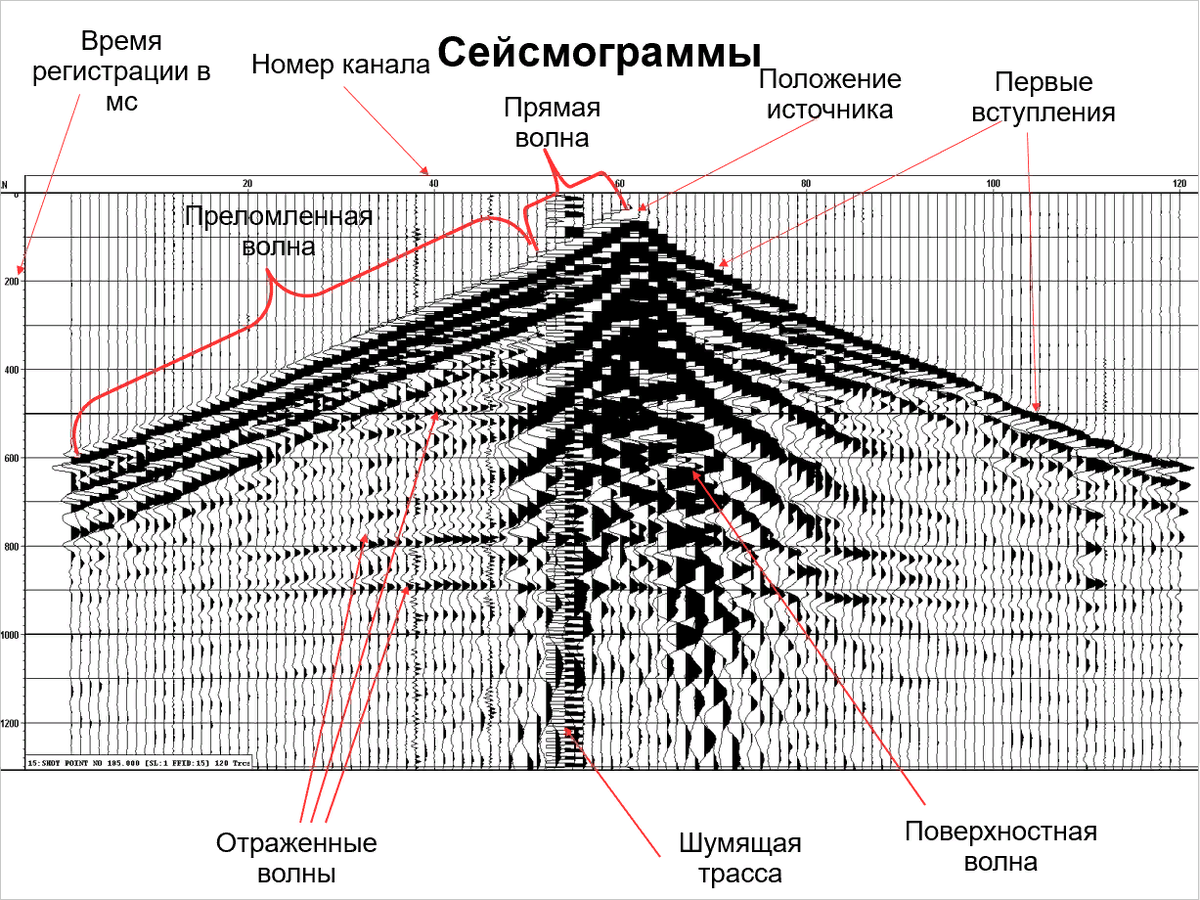 Основные элементы сейсмограммы.