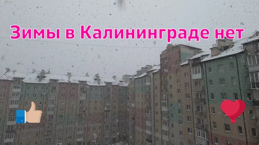 что посмотреть зимой в калининграде