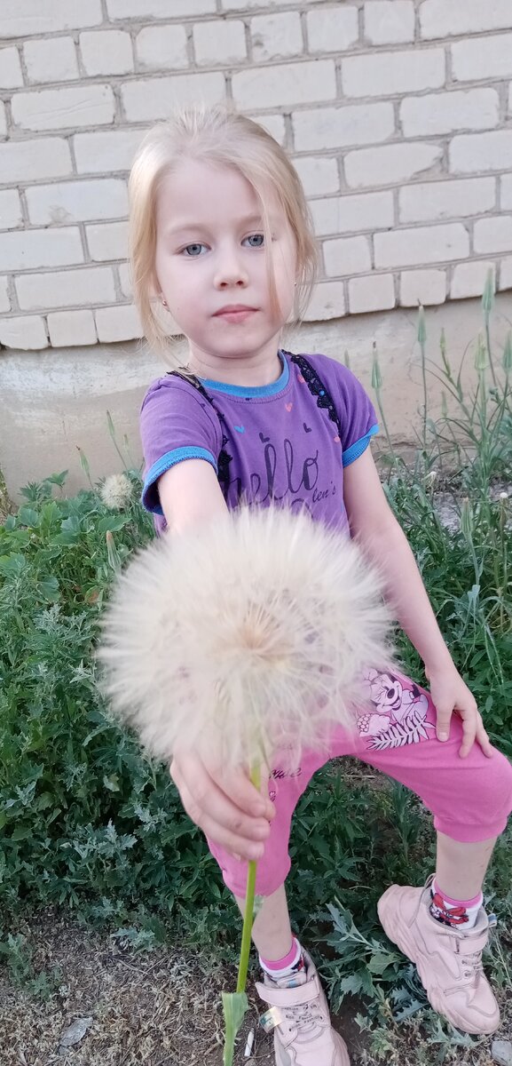 Принцесса Лисёнка