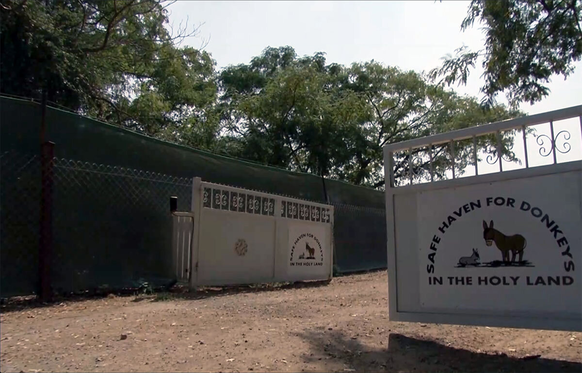 Центр помощи ослам "Ослиный рай в святой земле"