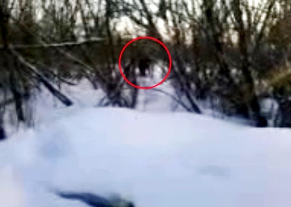    2013 год. Фигуру йети, снятого Женей, эксперты взяли в круг, разбирая детали. Фото - Евгений Анисимов.