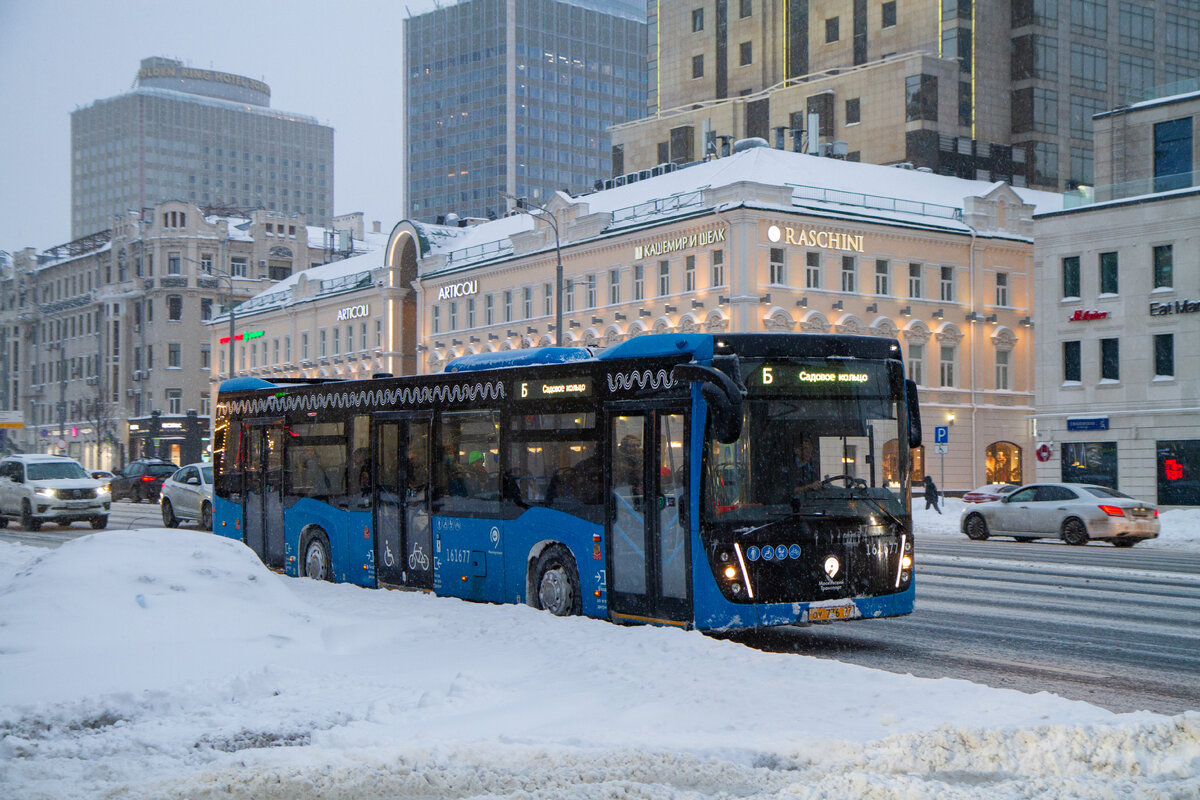 В Москве опять случился рекордный снегопад. Как в таких условиях работают  автобусы? | Блог ЖД фотографа | Дзен