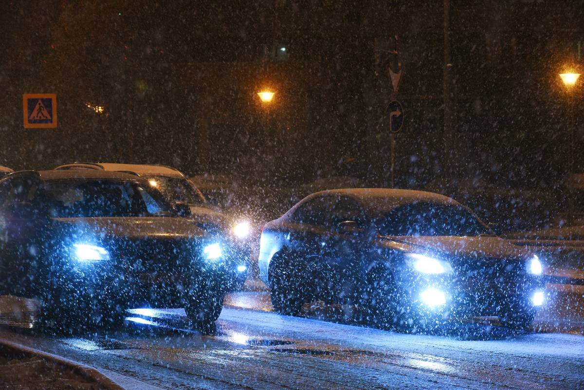    Фото: Александр Кожохин / Вечерняя Москва