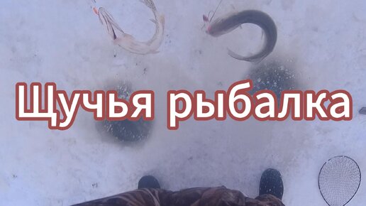 Щучья рыбалка🦈🐠❄️