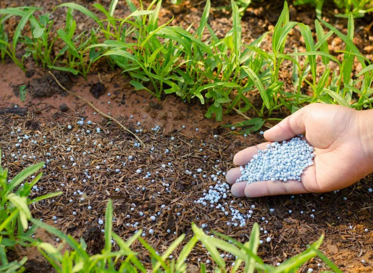 Planting crops. Удобрение почвы. Внесение удобрений в почву. Минеральные удобрения для почвы. Пестициды в почве.