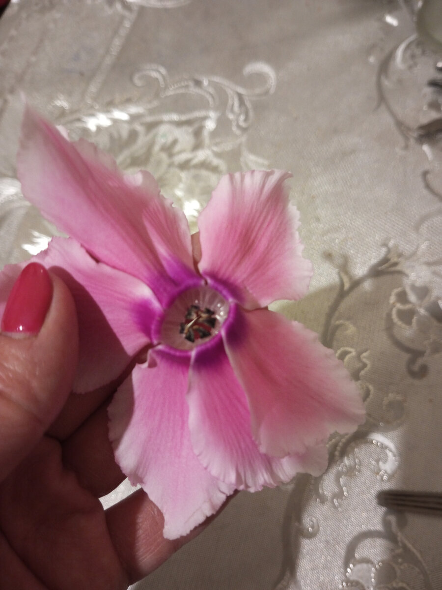 Первый опавший цветок.